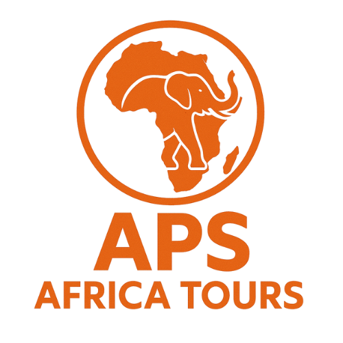 APS AFFRICA TOURS
