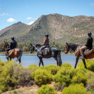 Horseback safari through the Western Cape landscape